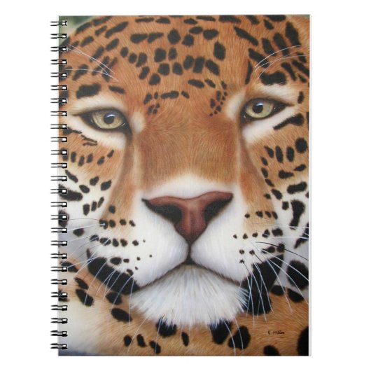 Carnet Peinture Jaguar (Devant)