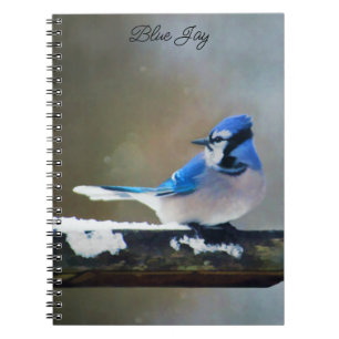 Carnet Peinture Jay Bleu - Art Oiseau Original