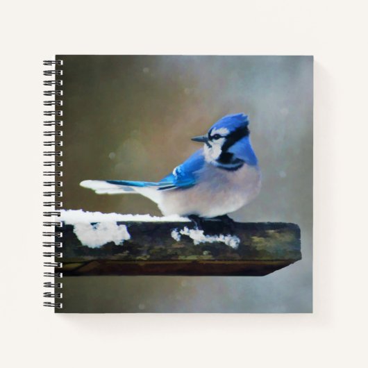 Carnet Peinture Jay Bleu - Art Oiseau Original (Devant)