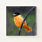 Carnet Peinture Oriole - Art Oiseau Original (Dos)
