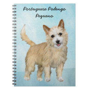 Carnet Peinture Podengo Pequeno portugaise - Art original