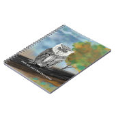 Carnet Peinture saisonnière de la Chouette dans la nature (Côté gauche)
