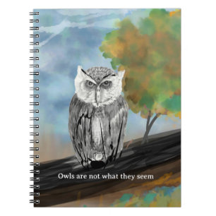 Carnet Peinture saisonnière de la Chouette dans la nature