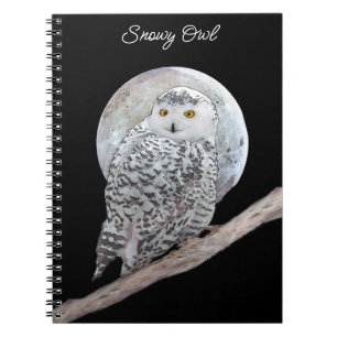 Carnet Peinture sur la Chouette neigeuse et la Lune - Art