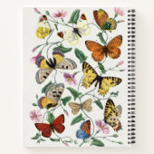Carnet Peinture vintage de papillon et de papillon (Dos)