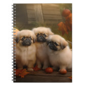 Carnet Pekingese Chiot Automne Citrouille délice (Devant)