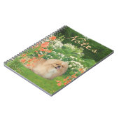 Carnet Pékinois dans le jardin (Côté gauche)