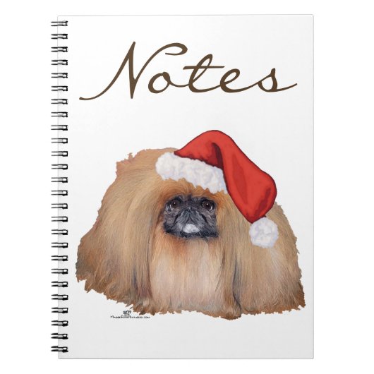 Carnet Pékinois du Père Noël (Devant)