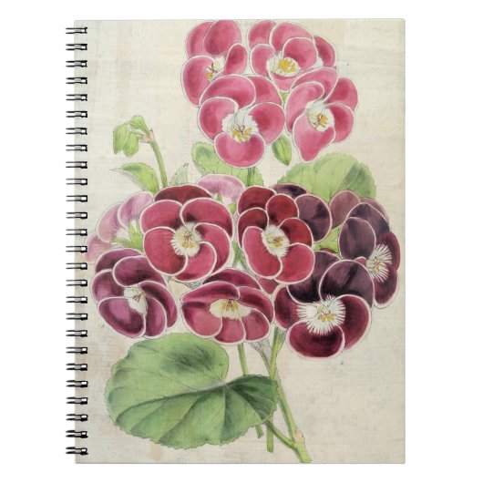 Carnet Pelargoniums vintages de fantaisie (Devant)