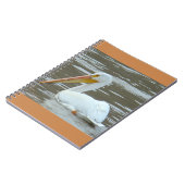 Carnet Pélican blanc B15 sur eau boueuse (Côté gauche)