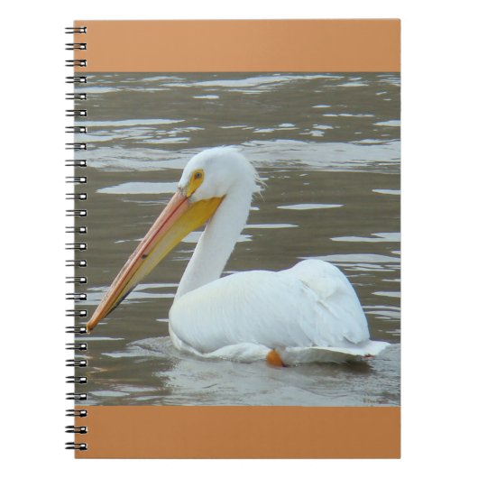 Carnet Pélican blanc B15 sur eau boueuse (Devant)