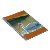 Carnet Pélican blanc B4 (Côté Droit)