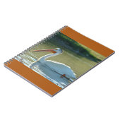 Carnet Pélican blanc B4 (Côté gauche)