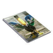 Carnet Pélican de Pensacola (Côté Droit)