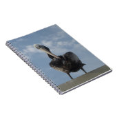 Carnet Pelican du Pérou (Côté Droit)