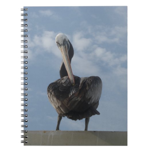 Carnet Pelican du Pérou (Devant)
