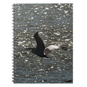 Carnet Pelican Flying Over Shimmering Lake Bafa