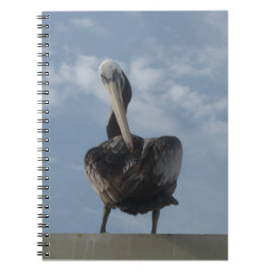 Carnet Pelican from Peru Notebook
