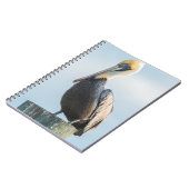 Carnet Pélican perché sur pylône (Côté gauche)