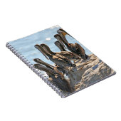 Carnet Pélicans (Côté Droit)