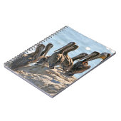 Carnet Pélicans (Côté gauche)