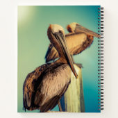 Carnet Pélicans à l'aube (Dos)