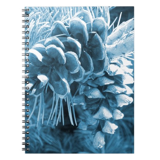 Carnet Pénecone bleu glacé primitif (Devant)