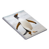 Carnet Penguin Gentoo (Côté Droit)