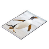 Carnet Penguin Gentoo (Côté gauche)