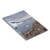 CARNET PENGUINS BESEIN (Côté Droit)