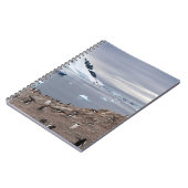 CARNET PENGUINS BESEIN (Côté gauche)