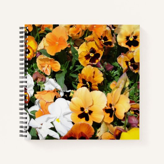 Carnet Pensées (Devant)