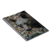 CARNET PENSÉES BÊTIÈRES (Côté Droit)