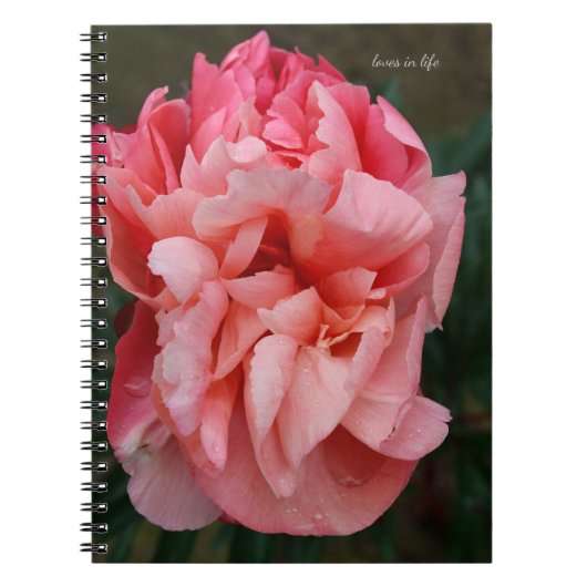Carnet Peony rose (Devant)