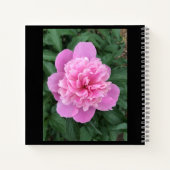 Carnet Peony rose (Dos)