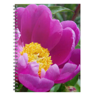 Carnet Peony Rose Et Jaune