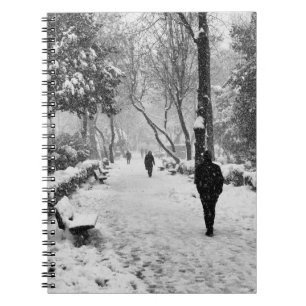 Carnet People at park in snowy winter day