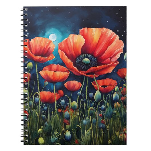 Carnet Pépites lunes (Devant)