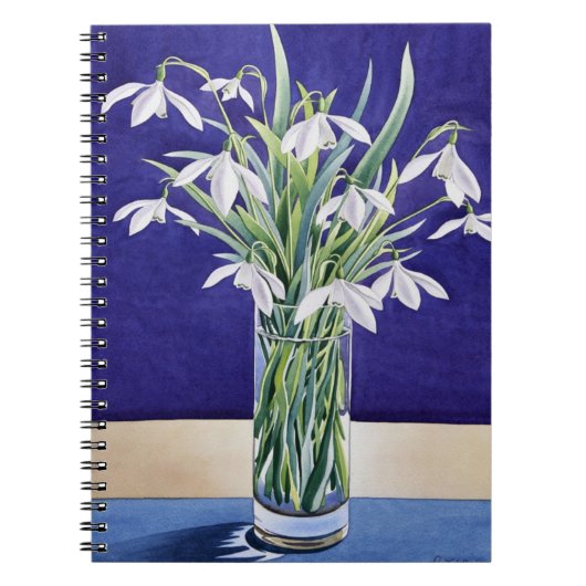Carnet Perce-neiges (Devant)