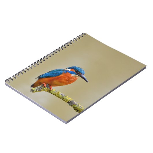 Carnet Perching Kingfisher (Côté gauche)