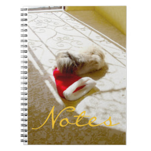 Carnet Père Noël capturé