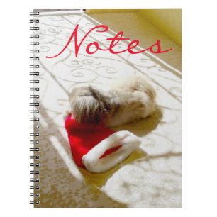 Carnet Père Noël capturé