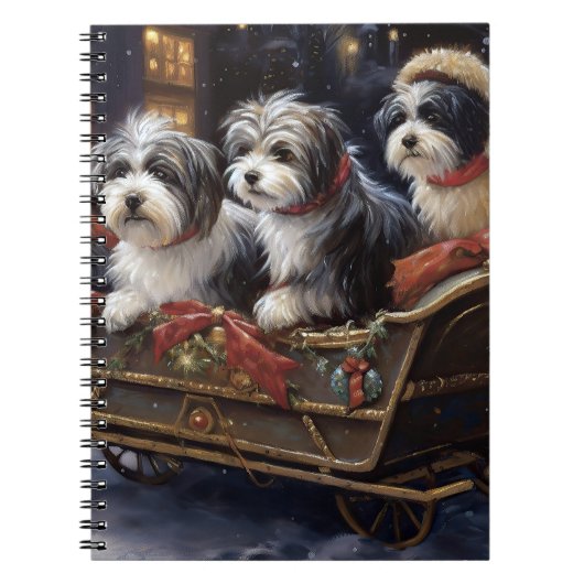 Carnet Période de fêtes de Noël Havaneois (Devant)