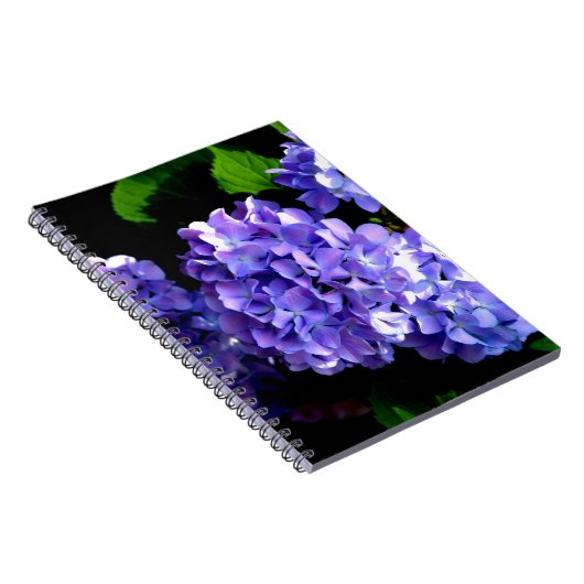 Carnet Périwinkel hydrangeas violet bleu fleur floral (Côté Droit)