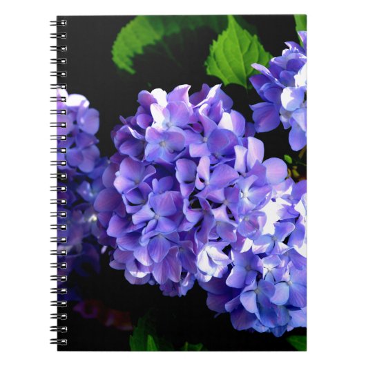 Carnet Périwinkel hydrangeas violet bleu fleur floral (Devant)