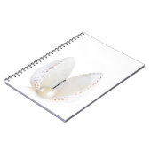 Carnet Perle et coquillage (Côté gauche)