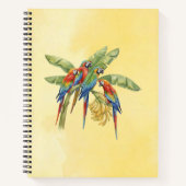 Carnet Perroquet (Devant)