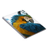 Carnet Perroquet (Côté Droit)