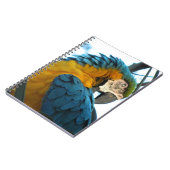 Carnet Perroquet (Côté gauche)