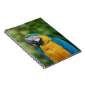 carnet _ perroquet (Côté Droit)